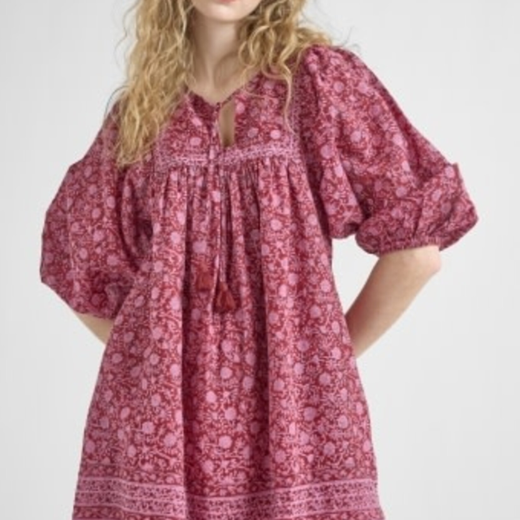 Pink Chicken womens sanaa dress - burgundy garden floral