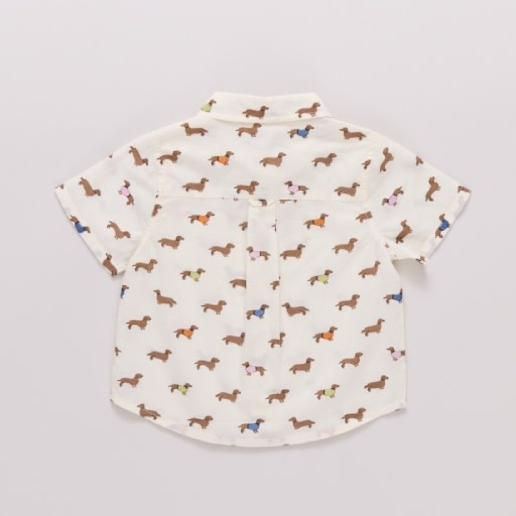 Pink Chicken boys jack shirt - dachshunds in sweaters
