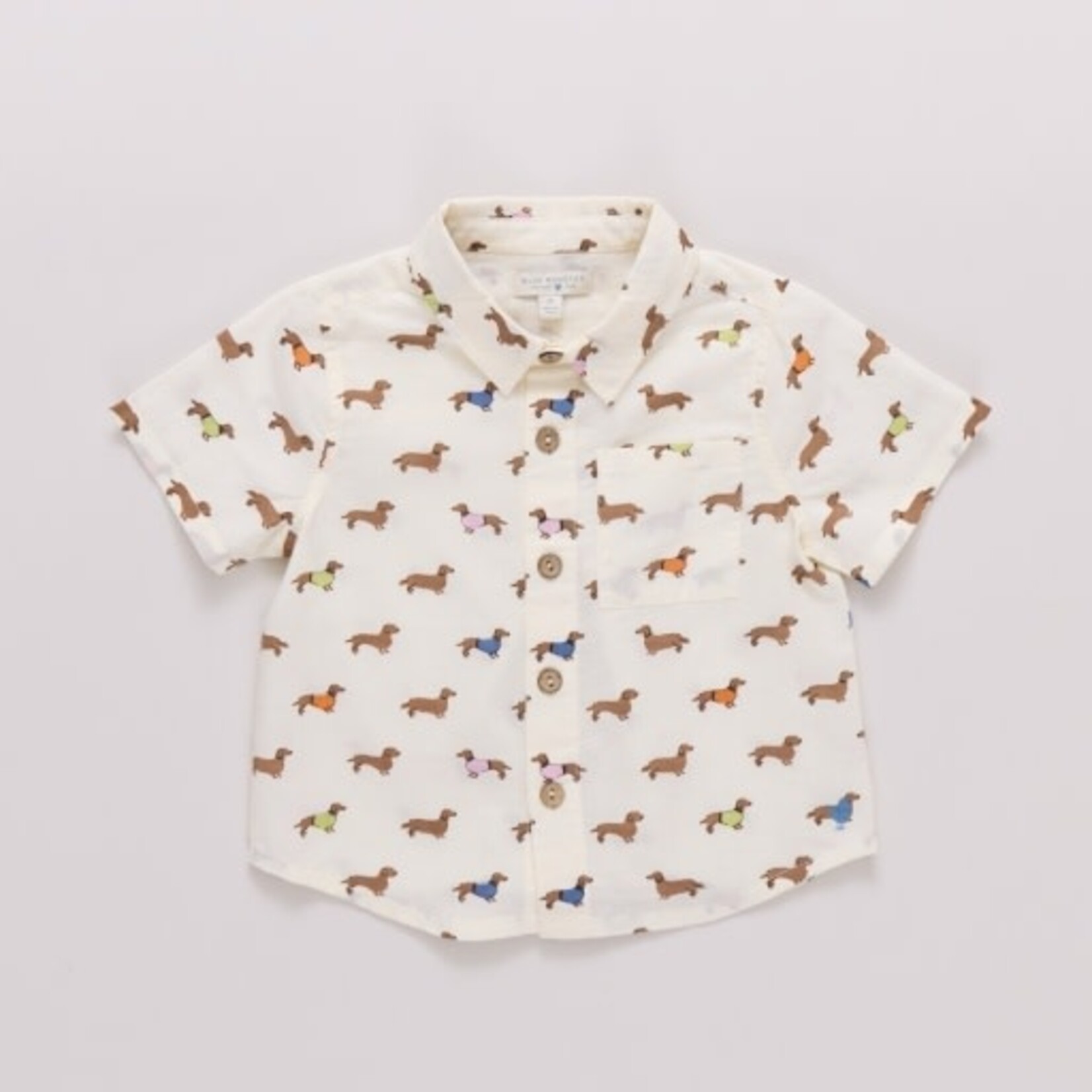Pink Chicken baby boys jack shirt - dachshunds in sweaters