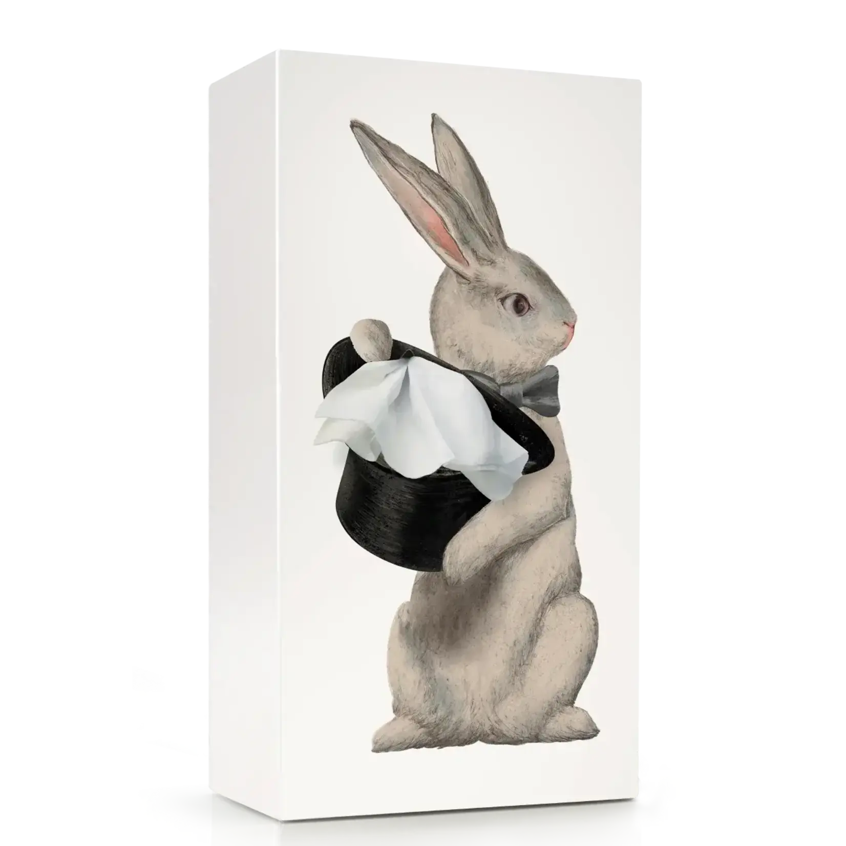 Beyond 123 Wonder Rabbit Tissue Box