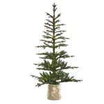 Haute Decor 5 Foot Pre-lit Timberland Fir Potted Christmas Tree