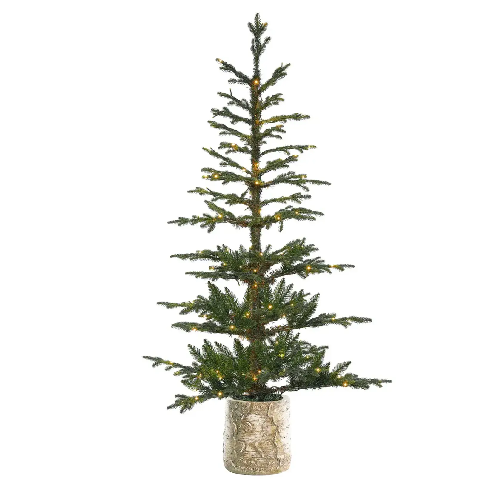 Haute Decor 5 Foot Pre-lit Timberland Fir Potted Christmas Tree