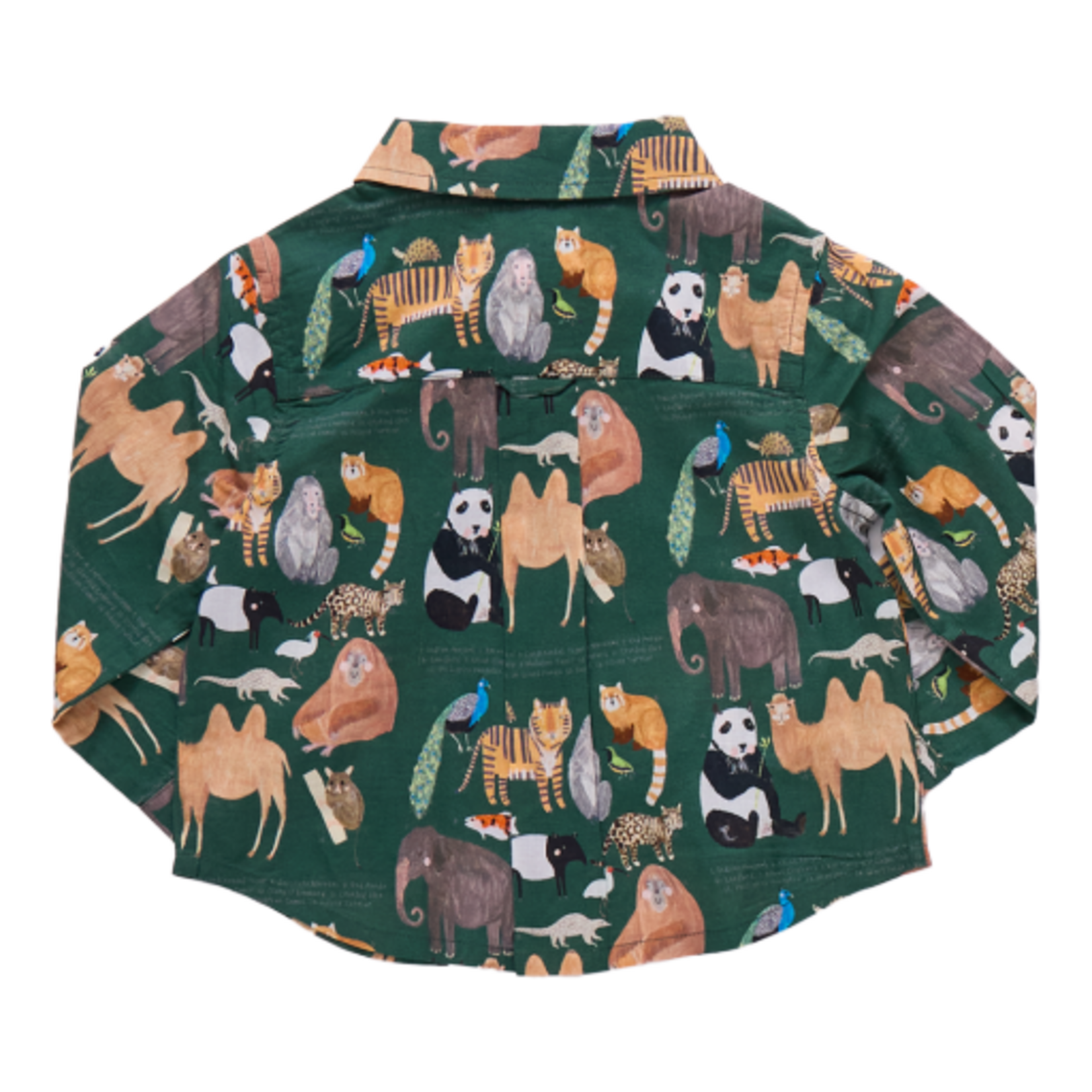 Pink Chicken baby boys jack shirt - animals of asia