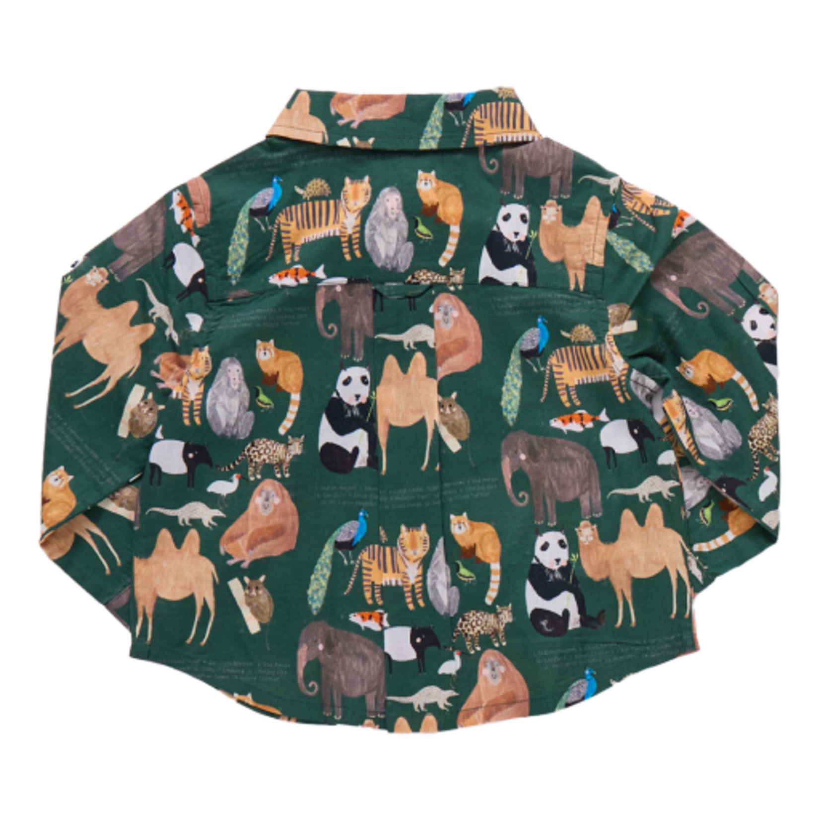 Pink Chicken baby boys jack shirt - animals of asia