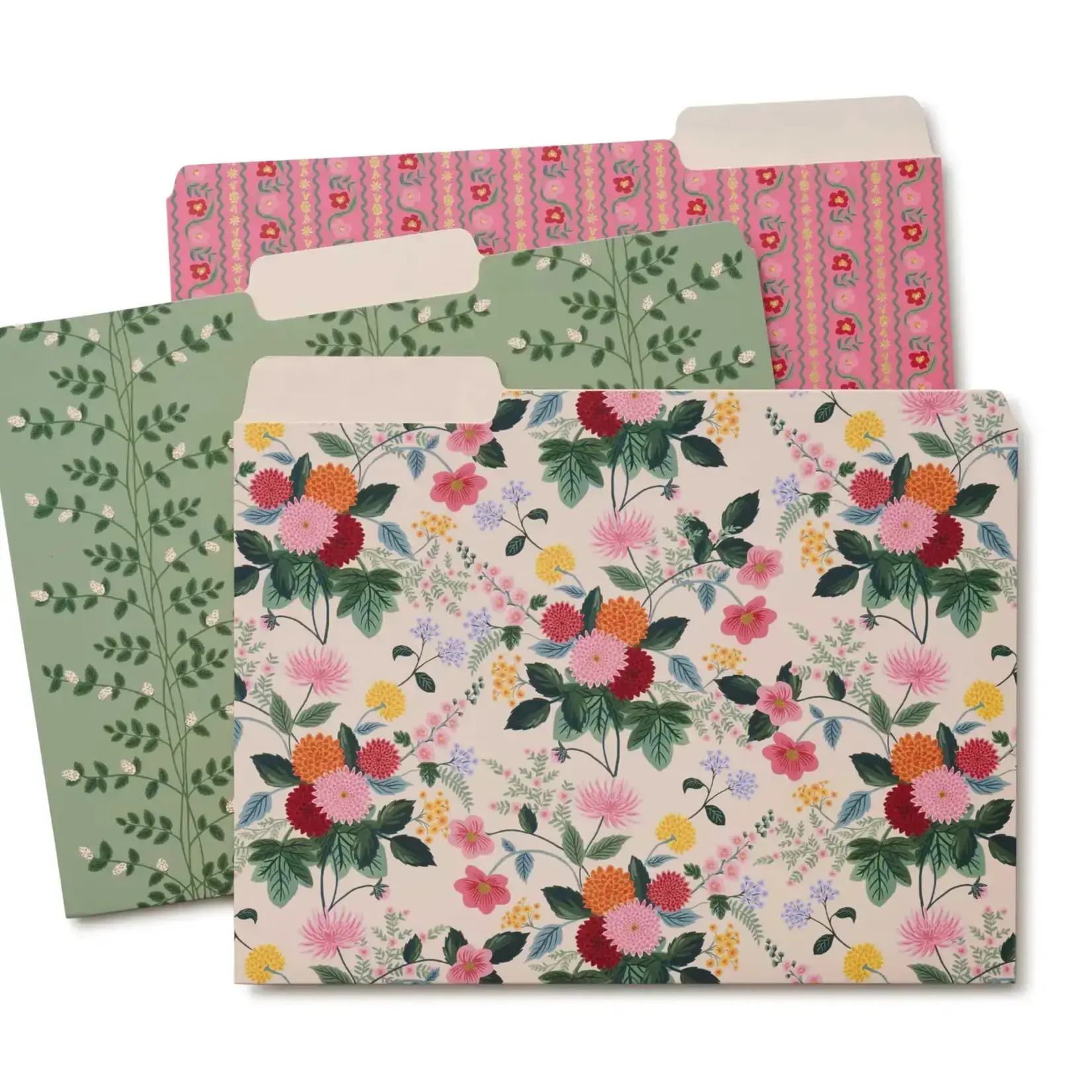Rifle Paper Company Dahlia File Folder Set