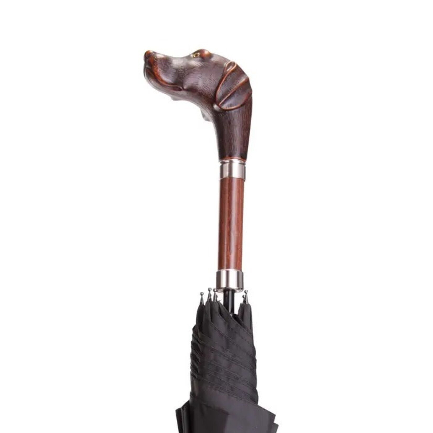 Harvy Canes Brownie Umbrella