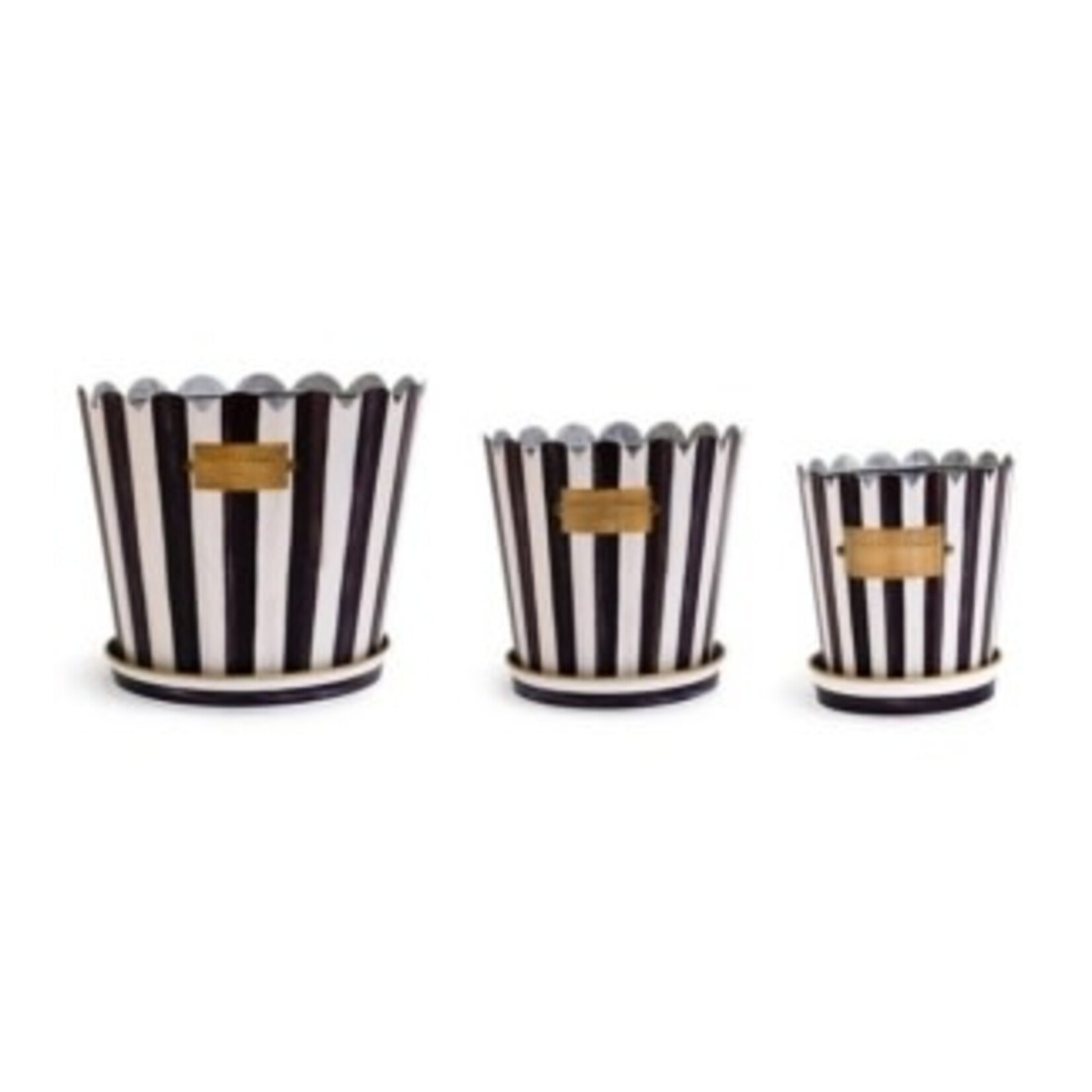 MacKenzie-Childs courtly stripe pots & saucers, set of 3