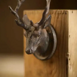 Vagabond Vintage Cast Iron Mounted Buck-