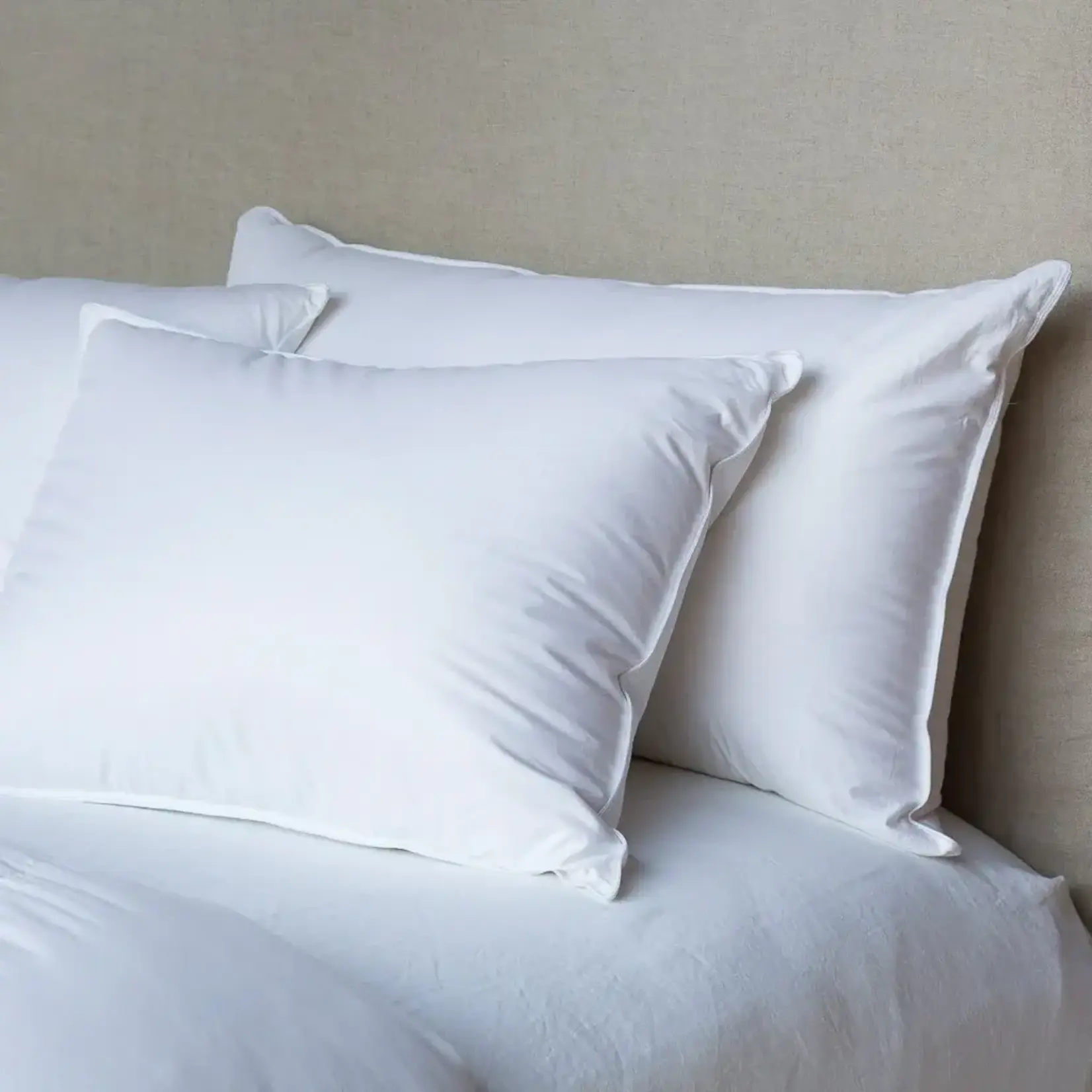 Bella Notte Divine Down Standard Pillow Insert