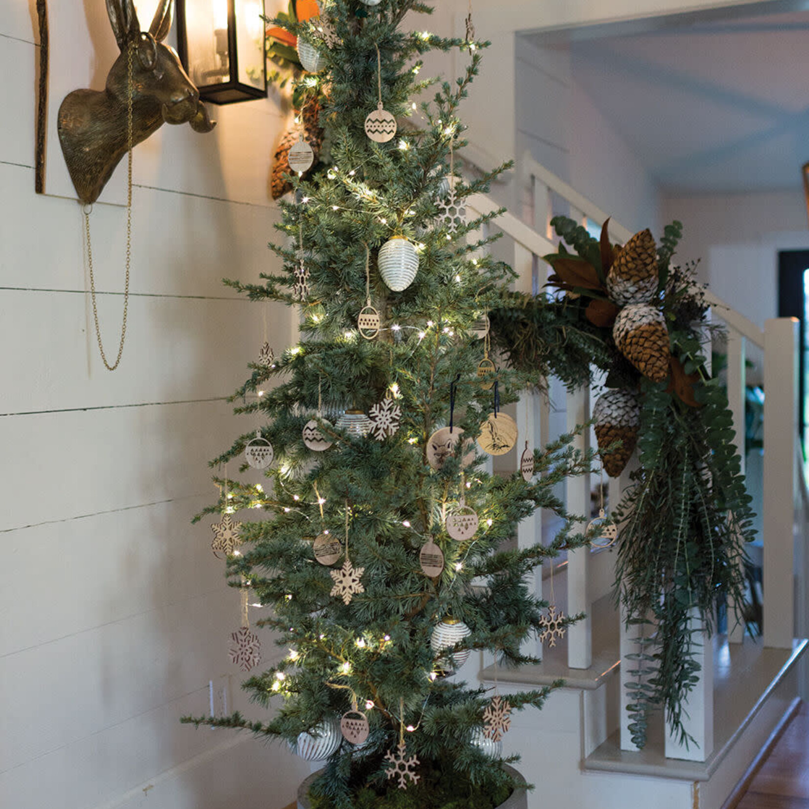 Accent Decor Eric the Hare Wall Mount (16"x 11"x 27")