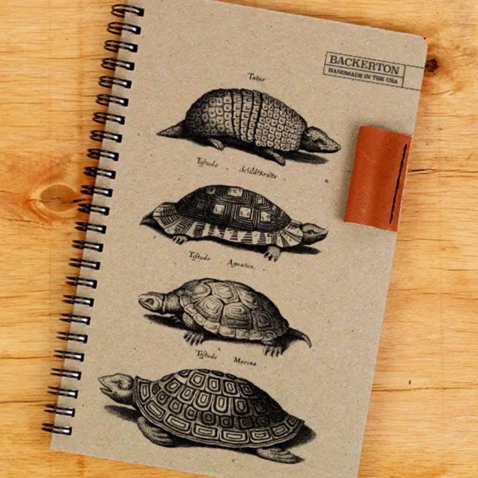 backerton Turtles - Notebook