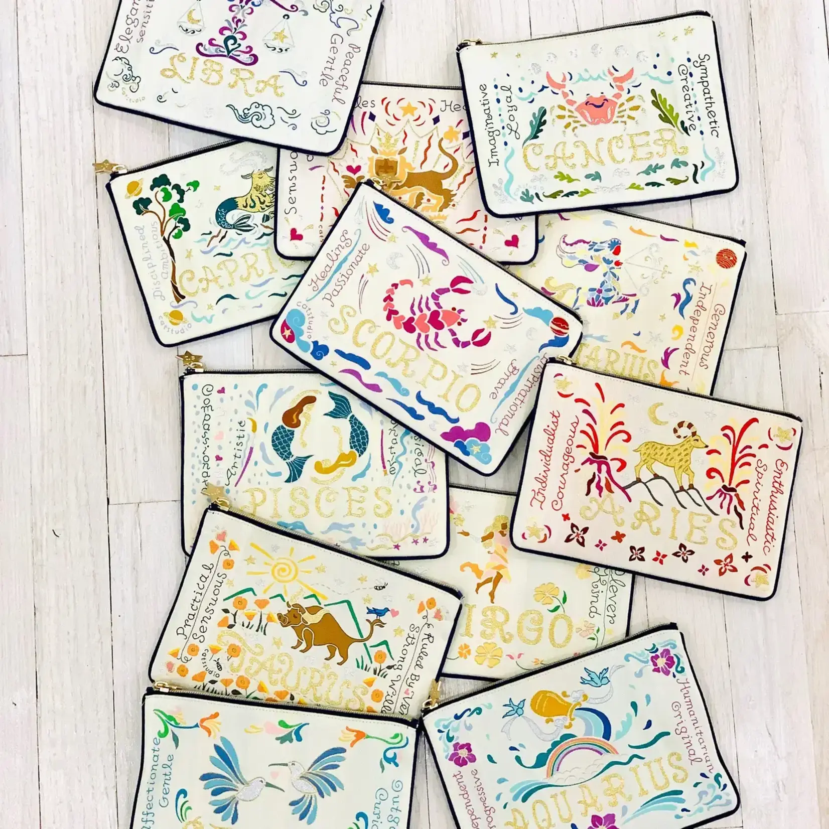 Catstudio Aquarius Astrology Zip Pouch