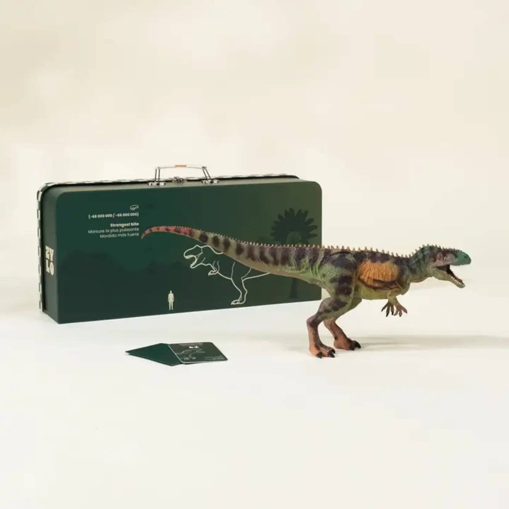 Coco Village Tyrannosaurus Rex Dinosaur in A Collectible Box