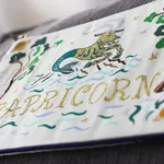 Catstudio Capricorn Astrology Zip Pouch