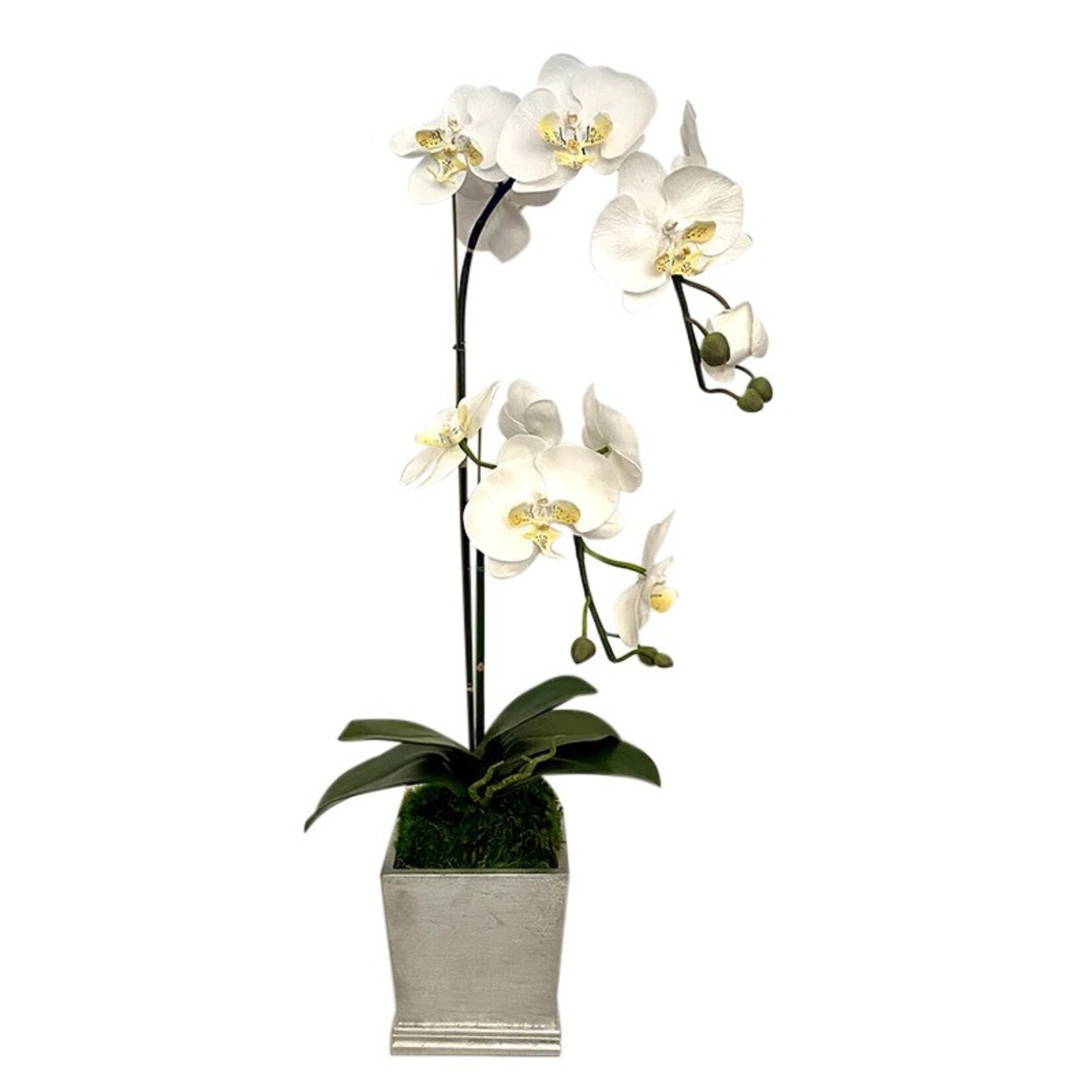 Resin Mini Square Container Silver Leaf - Artificial Double Orchid White & Yellow