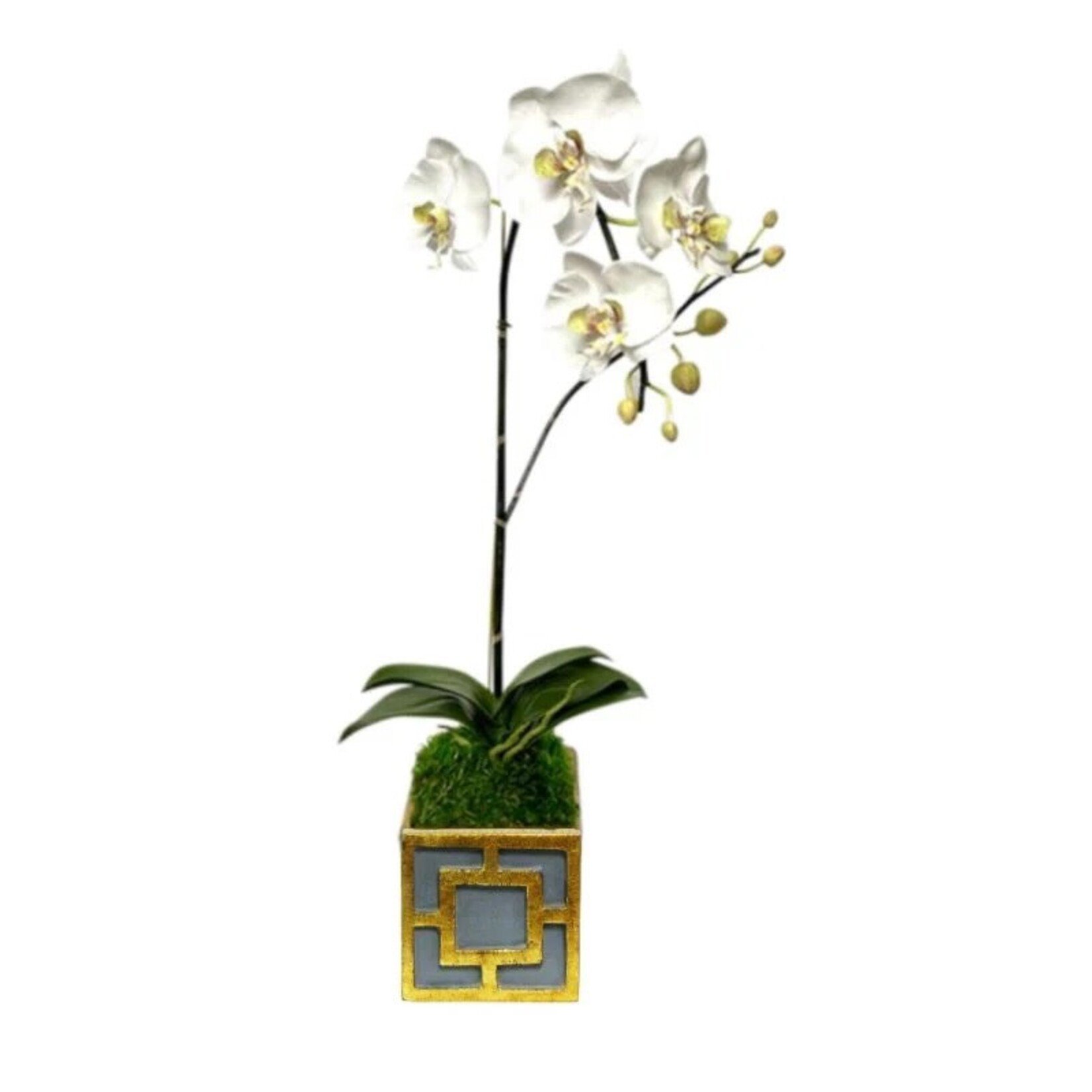 Wooden Mini Square Container w/ Square Dark Blue Grey w/ Gold - Orchid White & Green Artificial