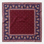 Elizabetta Made in Italy USA Enrico - Silk Pocket Square - Burgundy