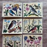 Parcel Bird and Flower Greeting Card Set