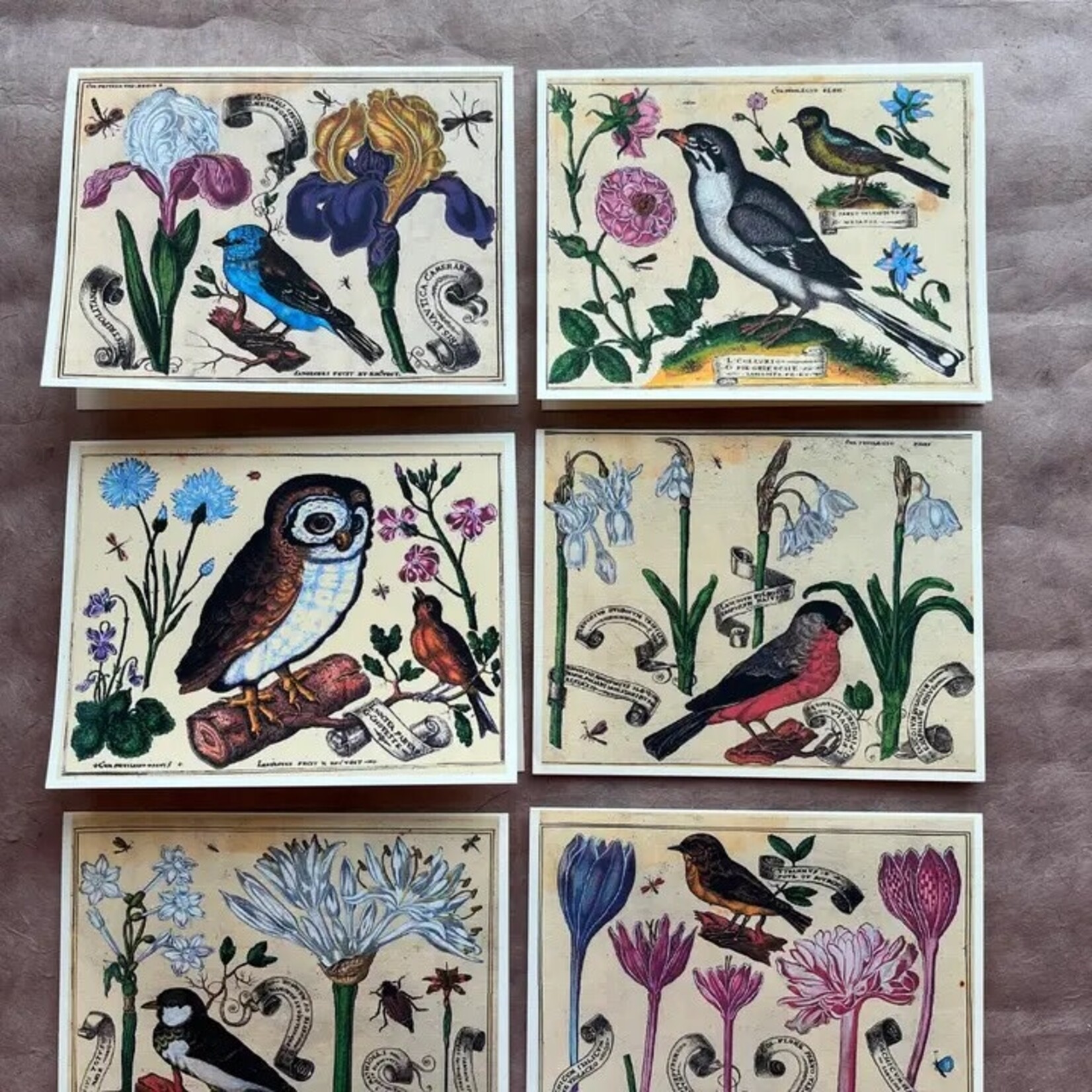 Parcel Bird and Flower Greeting Card Set