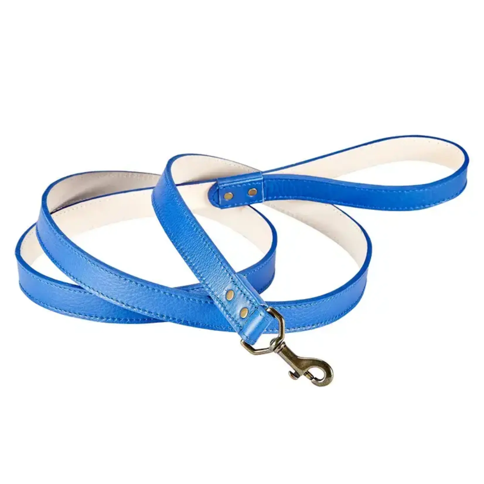 Graphic Image Inc. 6" Feet Dog Leash-Blue