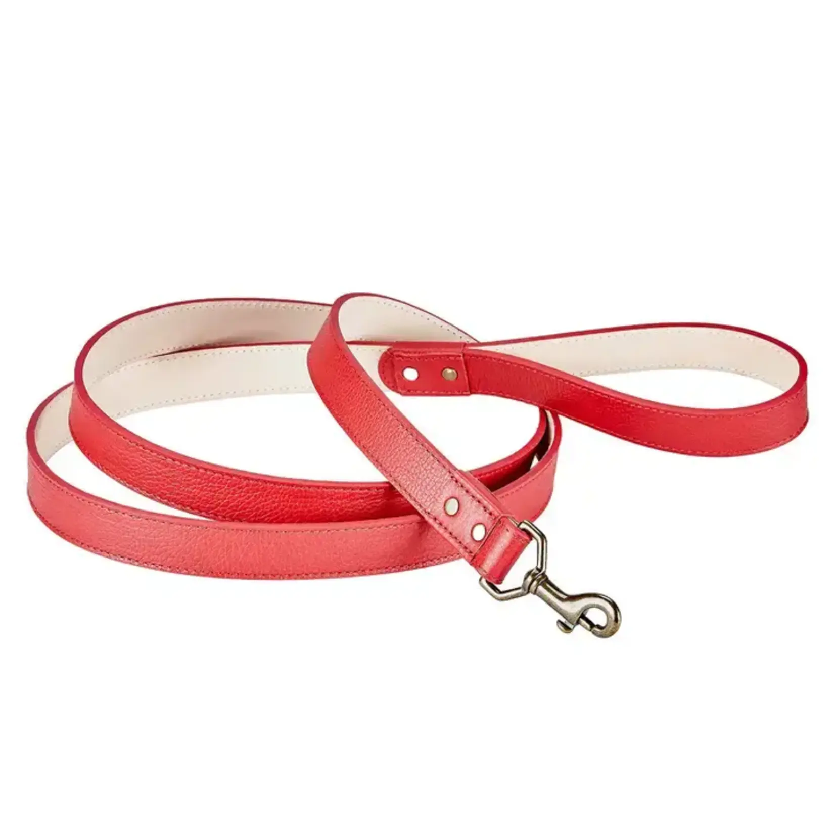 Graphic Image Inc. 6" Feet Dog Leash-Red