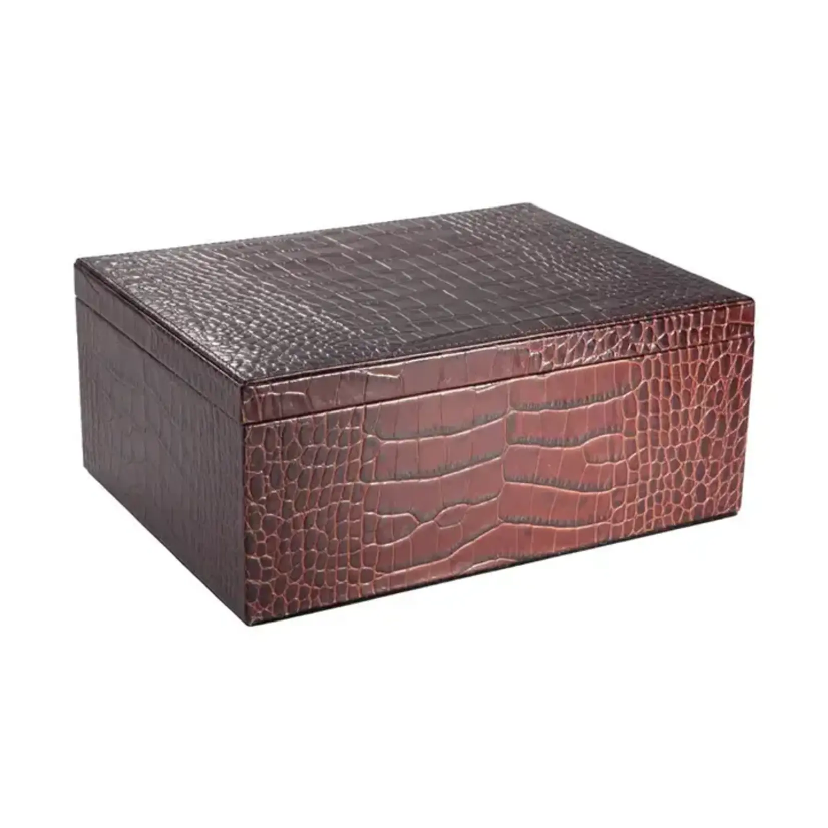 Graphic Image Inc. Large Box-Brown