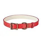 Graphic Image Inc. Large Dog Collar-red