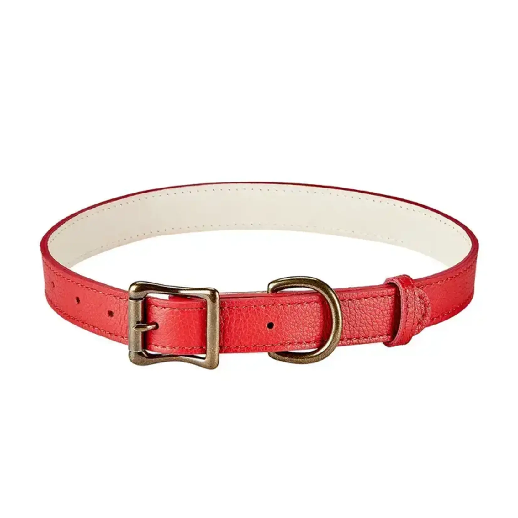 Graphic Image Inc. Large Dog Collar-red