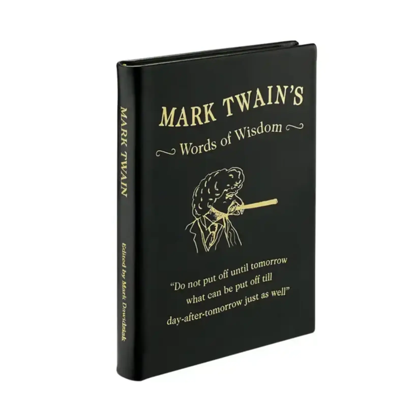 Graphic Image Inc. Mark Twain's Words of Wisdom
