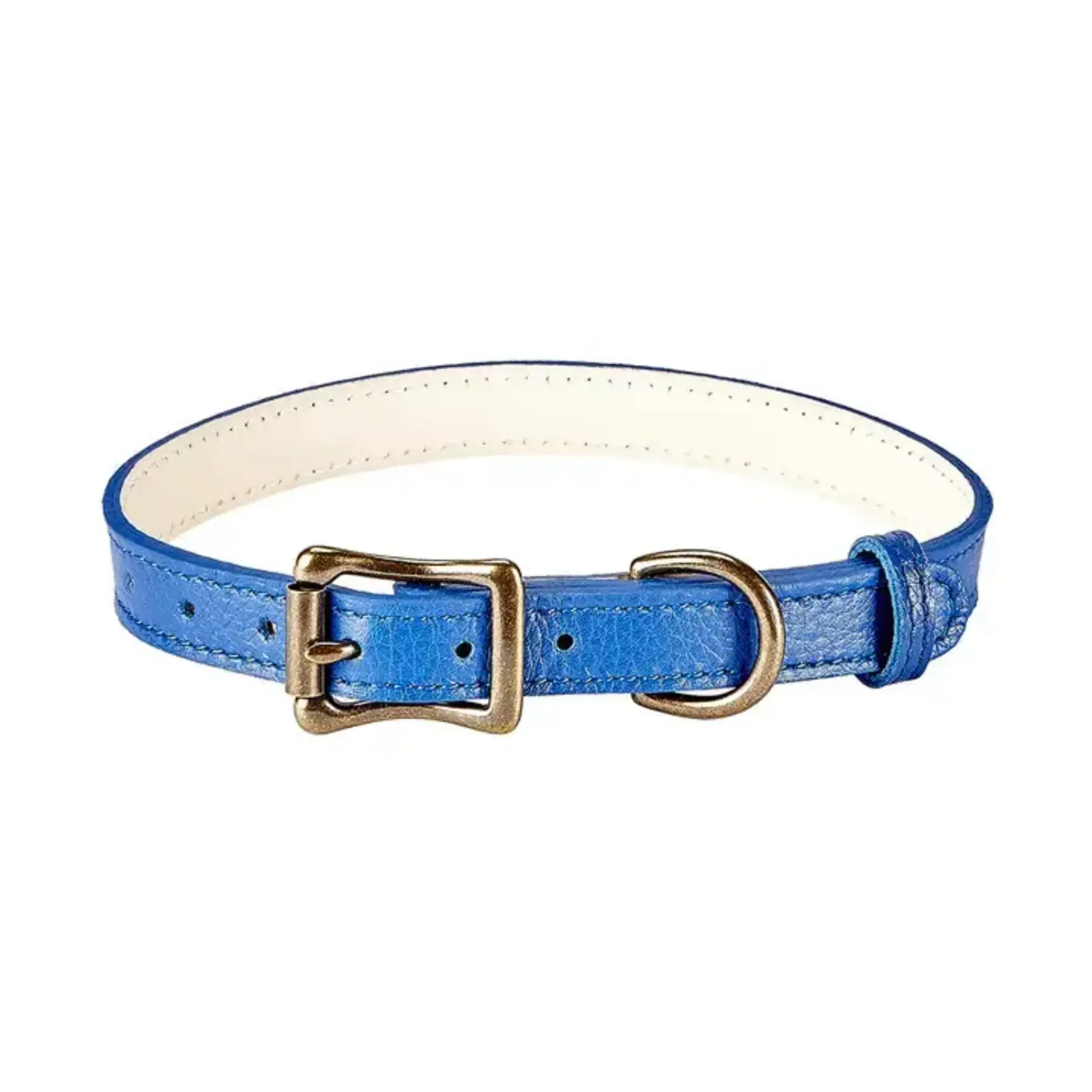 Graphic Image Inc. Medium Dog Collar-Blue