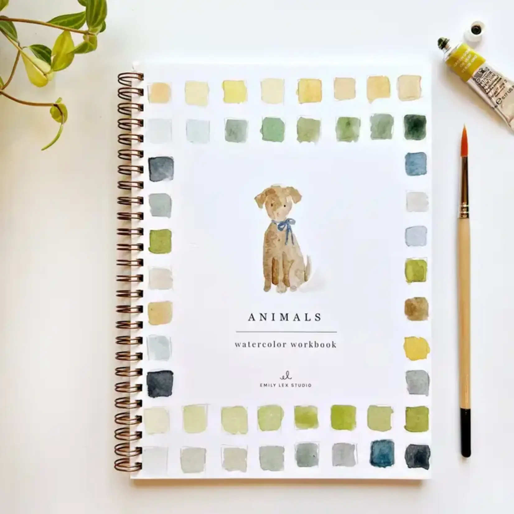 emily lex studio Animals Watercolor Workbook
