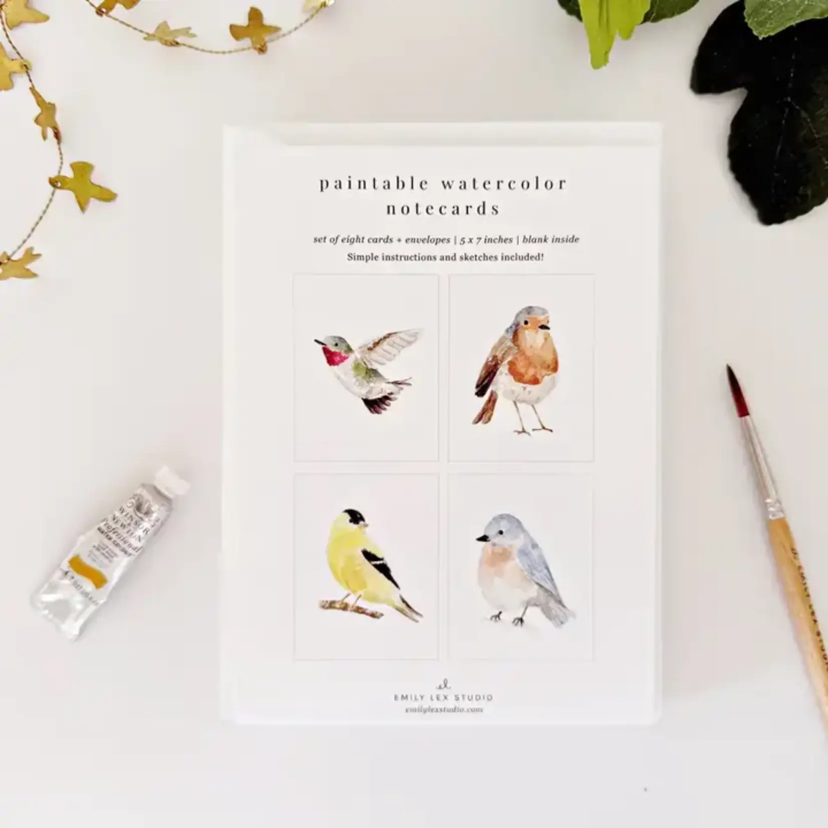 emily lex studio Birds Paintable Watercolor Notecard Set