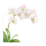 Caspari White Orchid Place Card 8 In Die-Cut