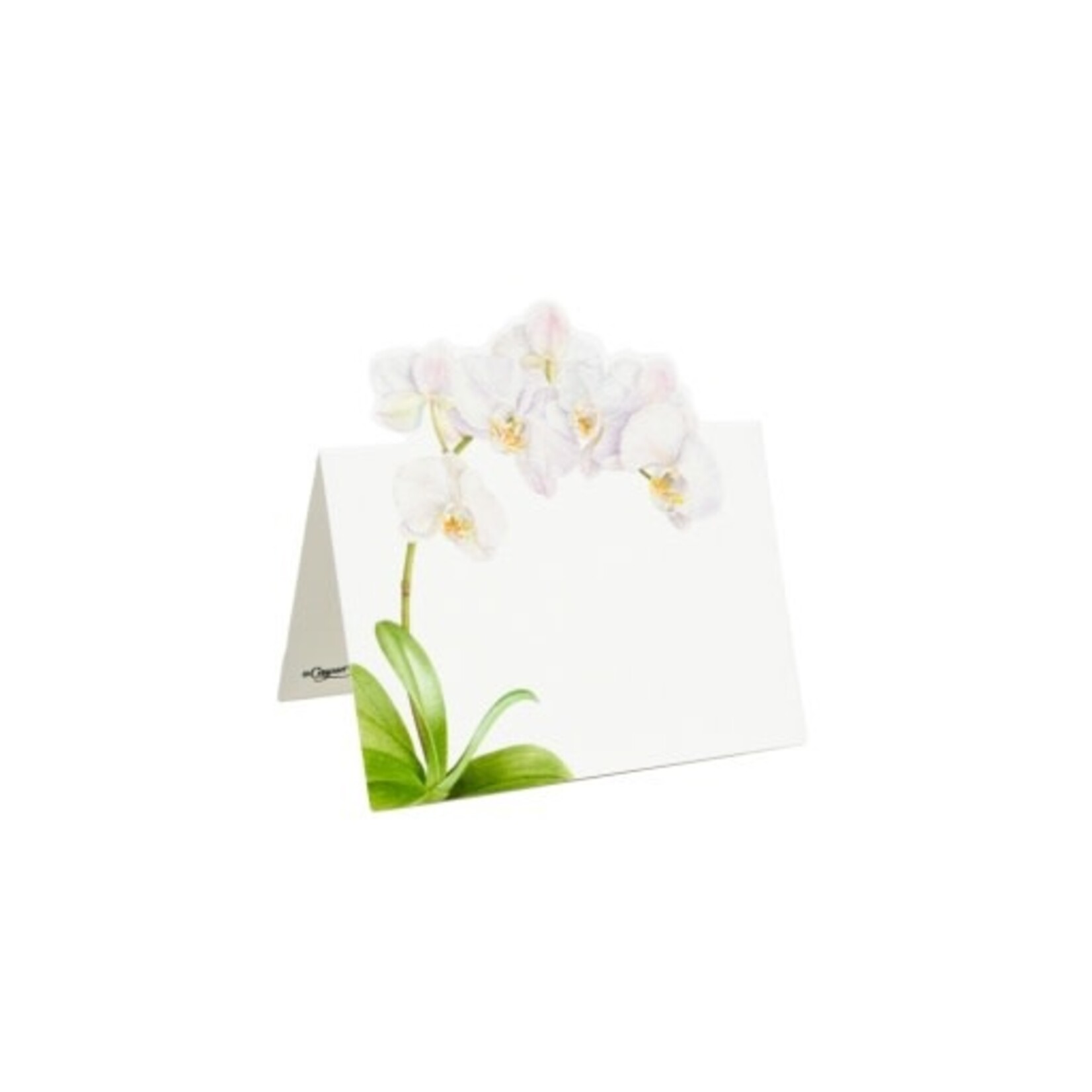 Caspari White Orchid Place Card 8 In Die-Cut