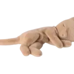 Maileg USA Sleeping kitten plush, Small - Cream Peach