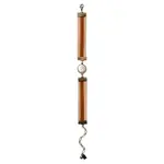 Elements, Jill Schwartz Drusilla Bracelet in Orange and Pink with Coin Pearl