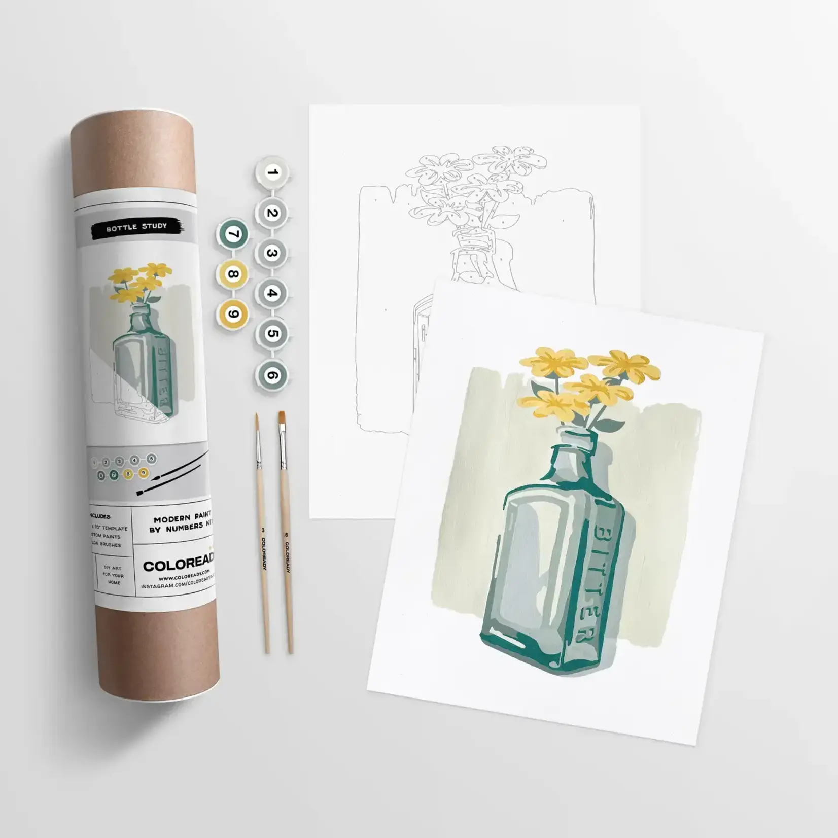 Coloready Bottle Study | Modern Paint By Numbers Kit