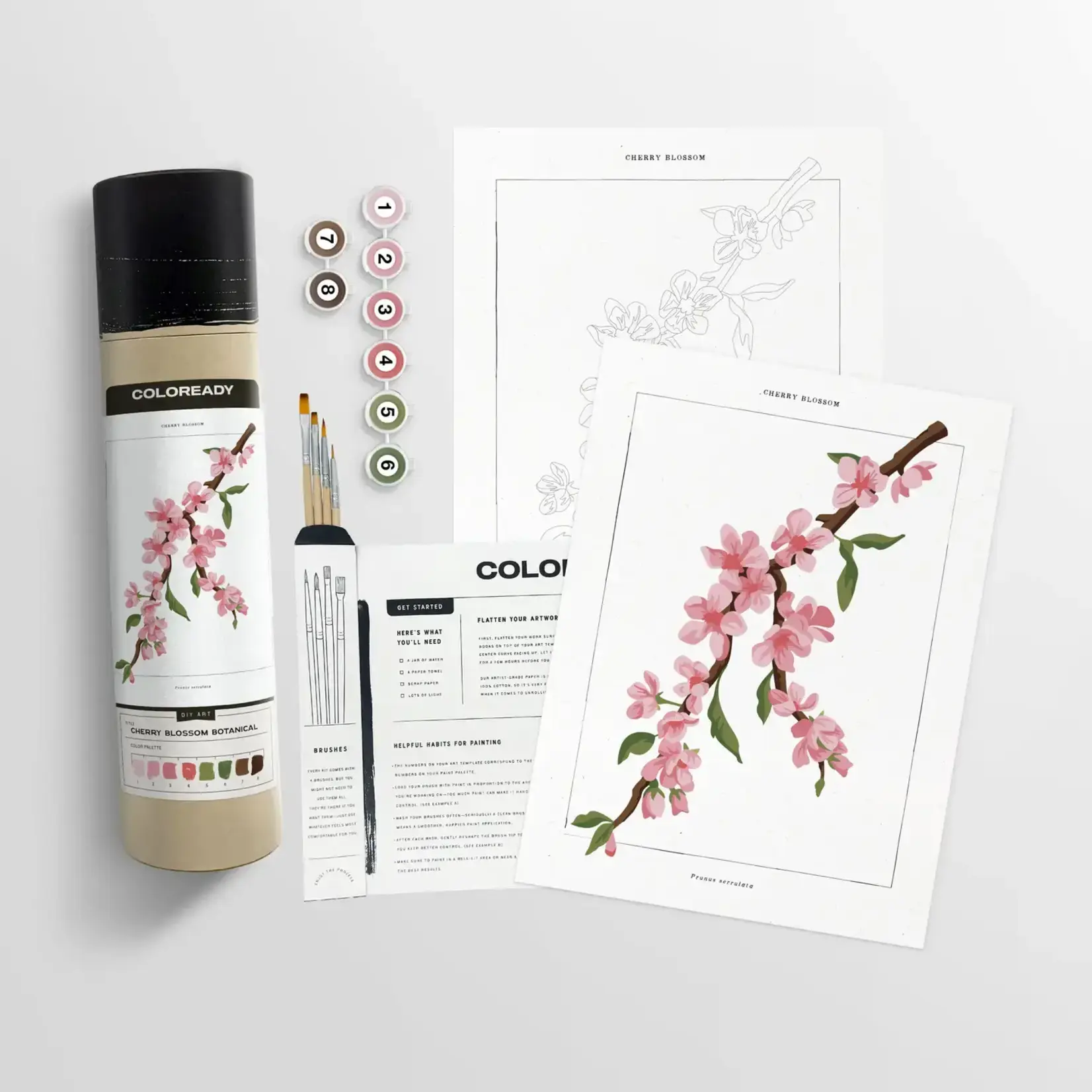 Coloready Cherry Blossom Botanical | Modern Paint By Numbers Kit