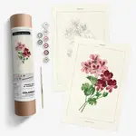 Coloready Geranium Botanical | Modern Paint By Numbers Kit