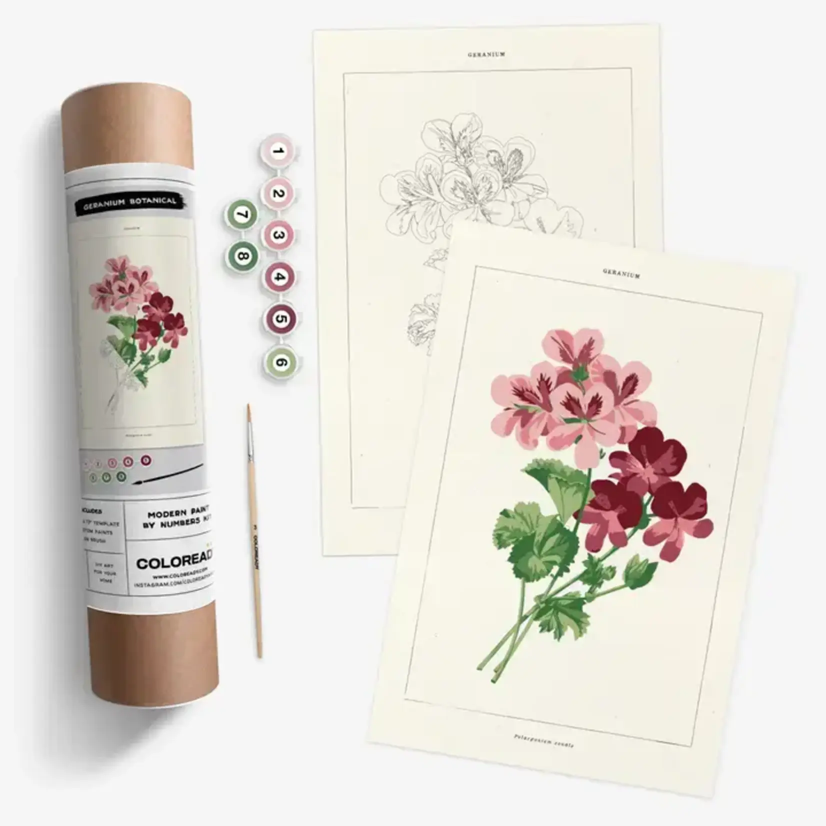 Coloready Geranium Botanical | Modern Paint By Numbers Kit