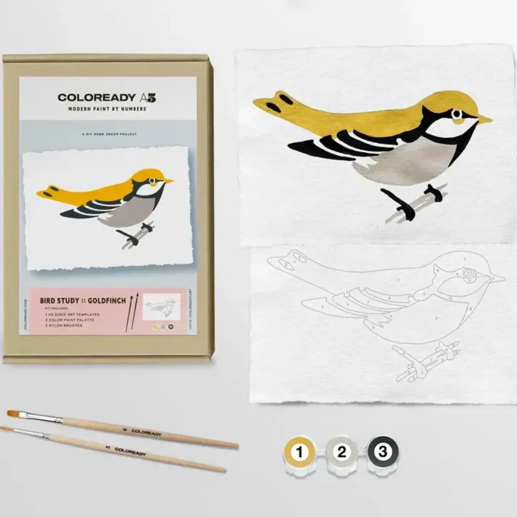 Coloready Bird Study : Goldfinch  |  Modern Paint By Numbers Kit