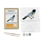 Coloready Bird Study : Swallow  |  Modern Paint By Numbers Kit