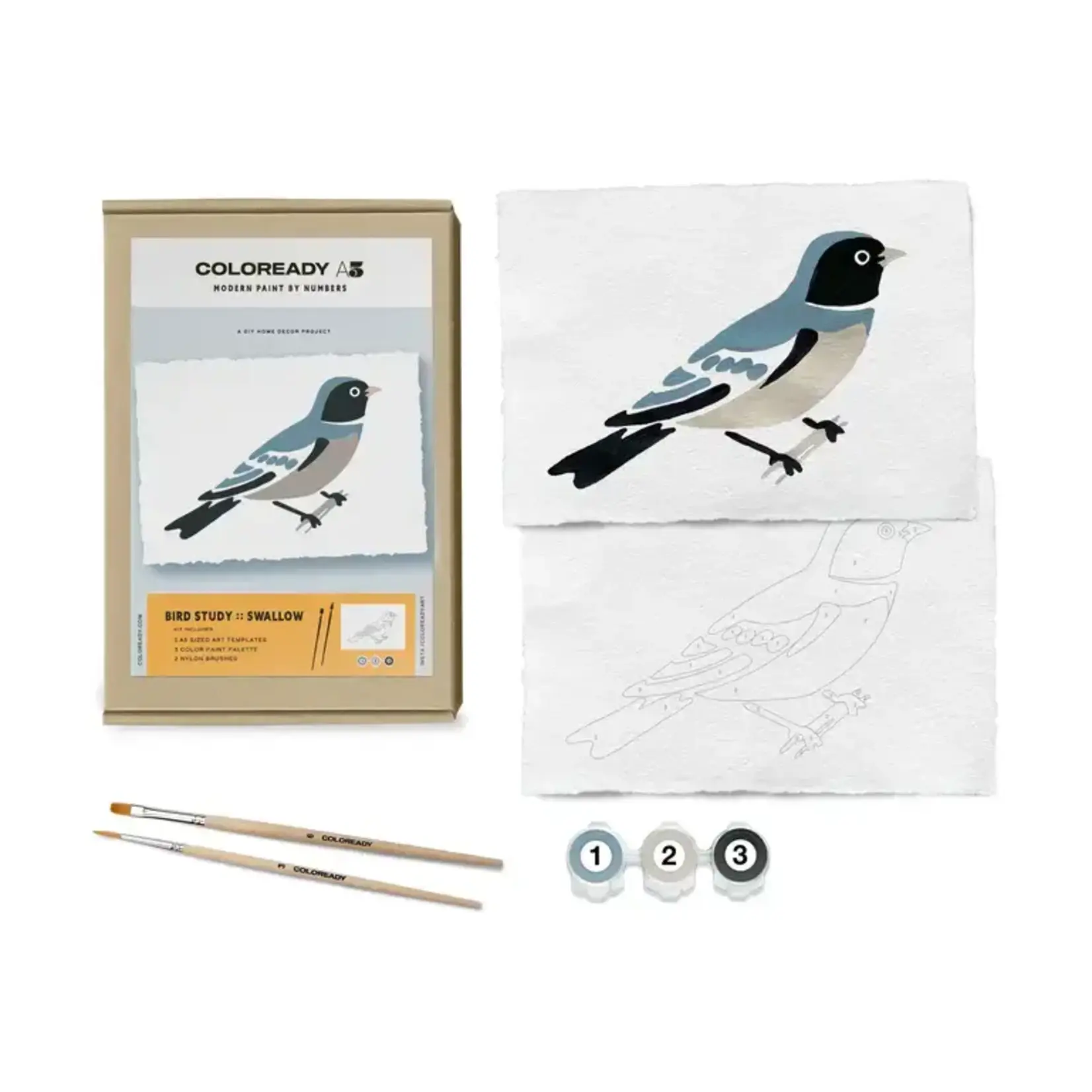 Coloready Bird Study : Swallow  |  Modern Paint By Numbers Kit
