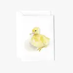 emily lex studio Baby Duckling Mini Enclosure Notecard