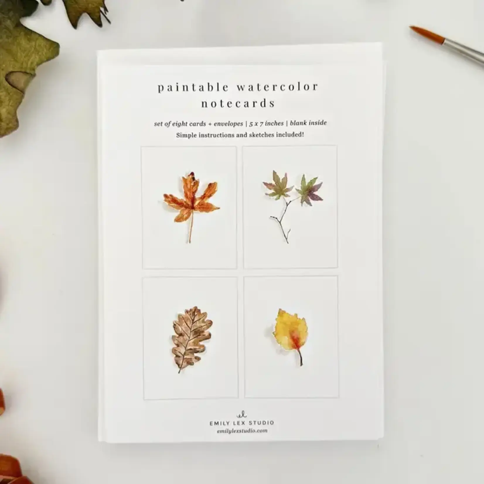 emily lex studio Fall Leaves Paintable Watercolor Notecard Set