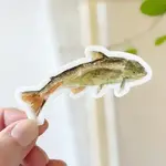 emily lex studio Fish Sticker