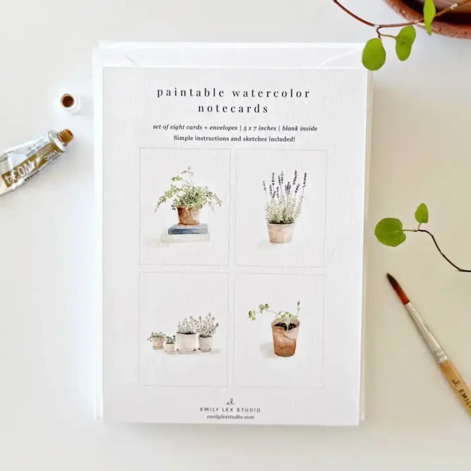 emily lex studio Potted Plants Paintable Watercolor Notecard Set