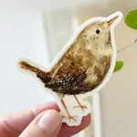 emily lex studio Wren Sticker