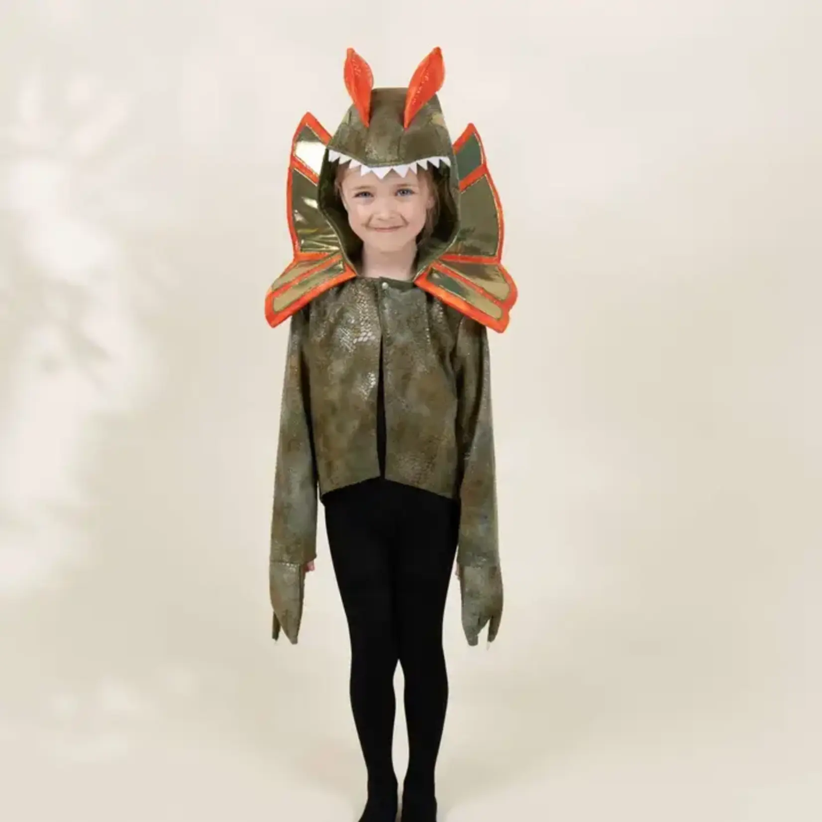 Coco Village Dinosaur Play Costume Cape
