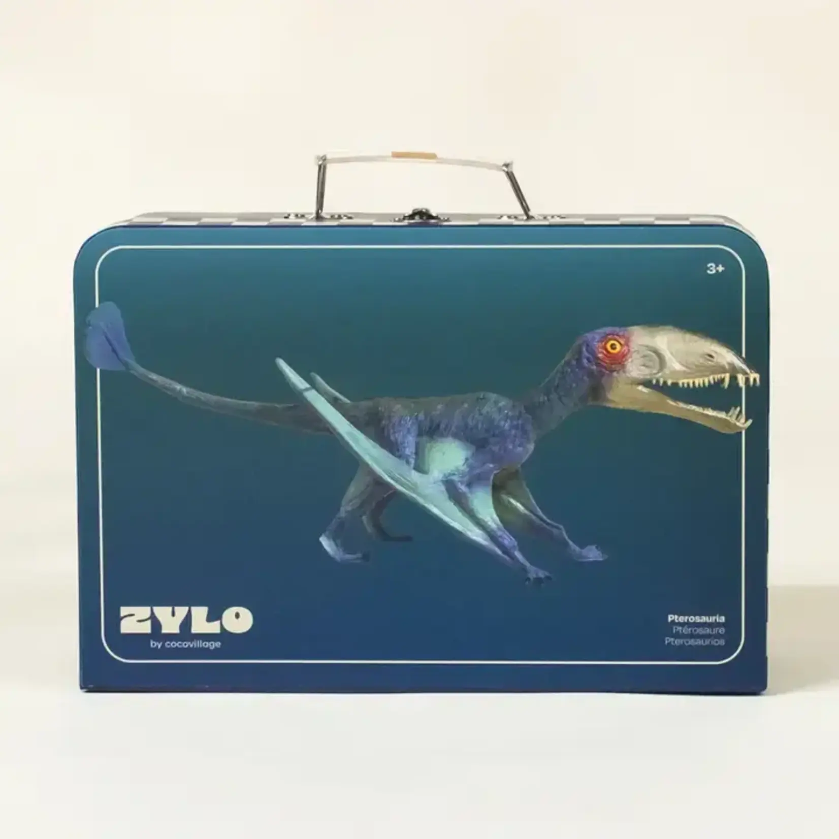 Coco Village Pterosauria Dinosaur in A Collectible Box